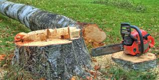 Best Tree Removal  in Fayette, MS